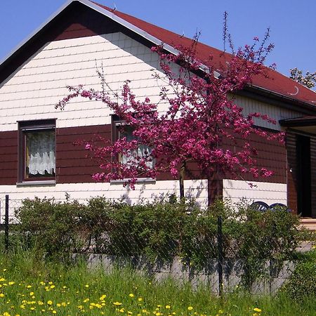 Waldblick Villa Waltershausen Ngoại thất bức ảnh